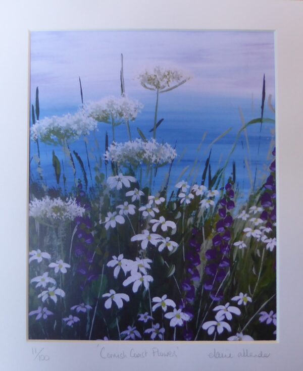 Cornish Coast Flowers